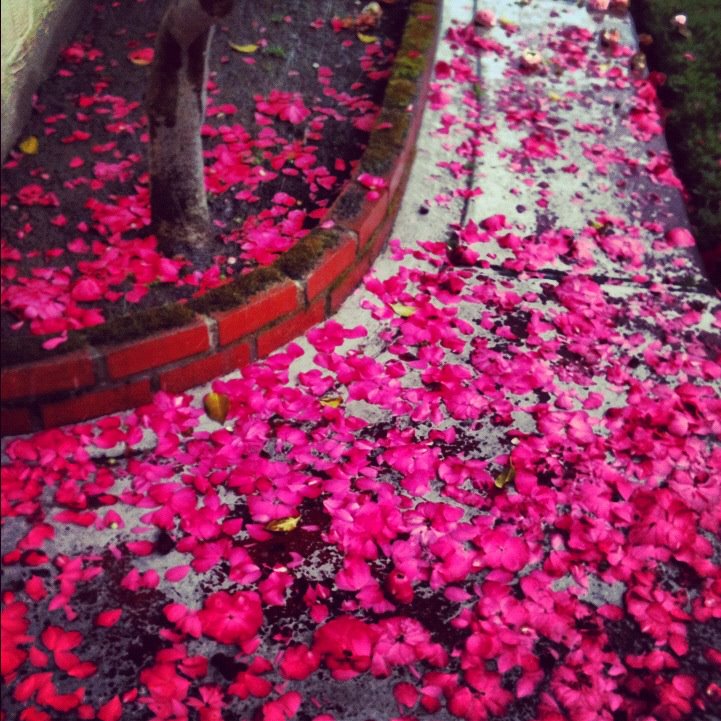 Earth laughs in flowers