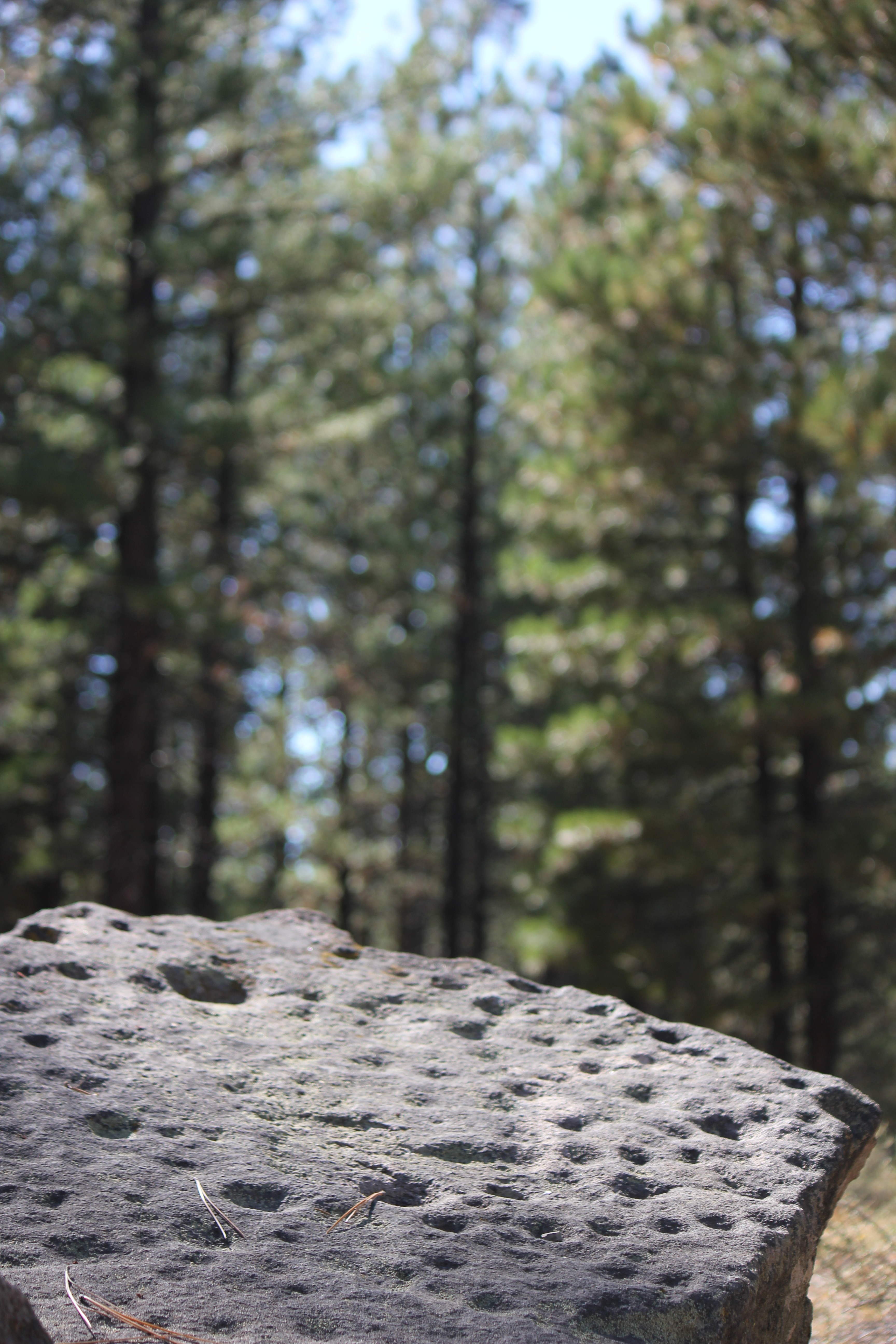 Petroglyphs in California