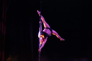 ann_bassette_volare_variety_3