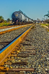 suisun_ann_bassette_IMG_6900