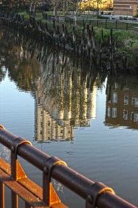 petuluma_water_ann_bassette_IMG_2431