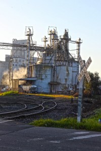 railroad_ann_bassette_IMG_2476