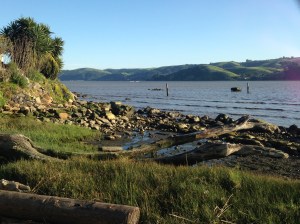 ann_bassette_benicia_7640