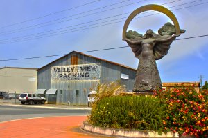 ann_bassette_earth_angel_IMG_1279